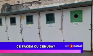 Ce facem cu cenușa?