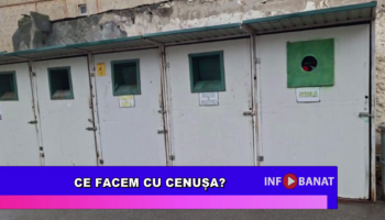 Ce facem cu cenușa?
