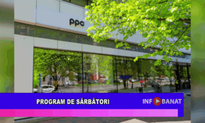 Program de sărbători