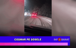 Coșmar pe șosele
