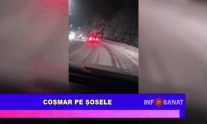 Coșmar pe șosele
