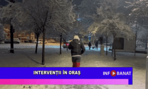 Intervenții în oraș