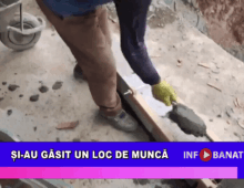 Și-au găsit un loc de muncă