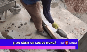 Și-au găsit un loc de muncă