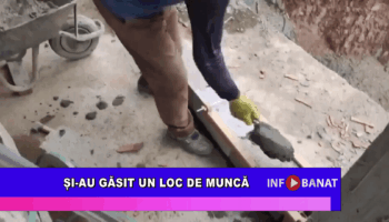 Și-au găsit un loc de muncă