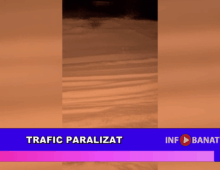 Trafic paralizat