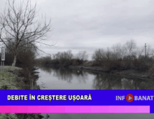 Debite în creștere ușoară