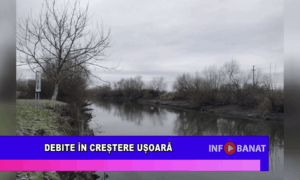 Debite în creștere ușoară