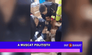 A mușcat polițistii