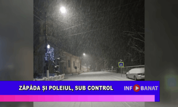 Zăpada și poleiul, sub control