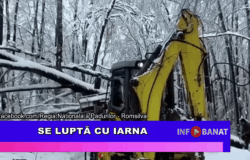 Se luptă cu iarna