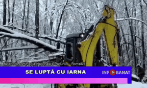 Se luptă cu iarna