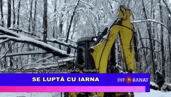 Se luptă cu iarna