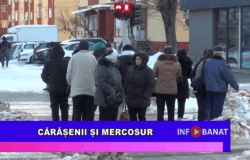 Cărășenii și Mercosur