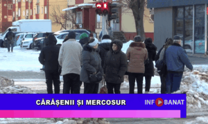 Cărășenii și Mercosur
