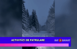 Activități de patrulare