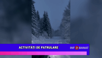 Activități de patrulare