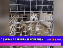 O șansă la căldură și siguranță