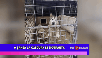 O șansă la căldură și siguranță