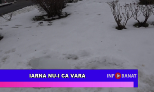 Iarna nu-i ca vara