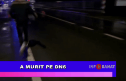 A murit pe DN6