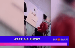 Atât s-a putut