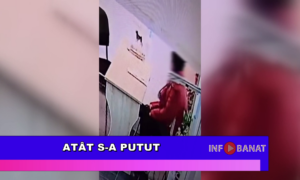 Atât s-a putut