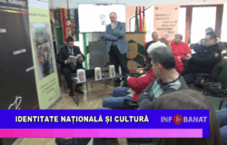 Identitate Națională și Cultură