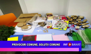 Provocări comune, soluții comune