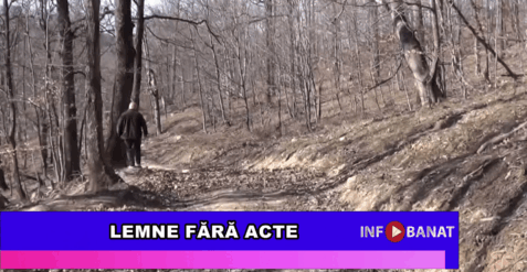 Lemne fără acte