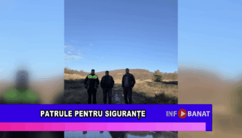 Patrule pentru siguranțe