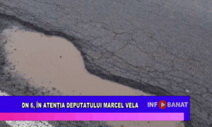 DN 6, în atenția deputatului Marvel Vela