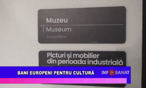 Bani europeni pentru cultură