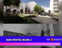 Bani pentru Micro 4