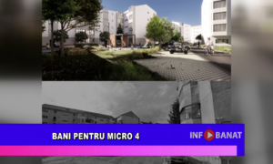 Bani pentru Micro 4