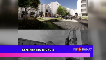 Bani pentru Micro 4