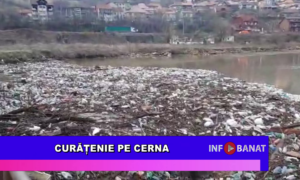 Curățenie pe Cerna