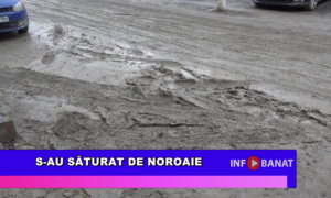 S-au săturat de noroaie