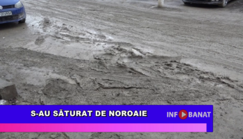 S-au săturat de noroaie