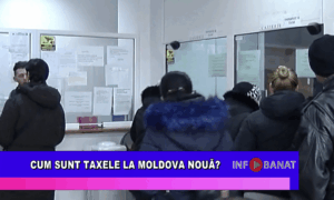 Cum sunt taxele la Moldova Nouă?