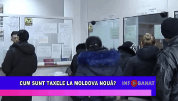 Cum sunt taxele la Moldova Nouă?