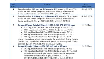 Licitație pentru vânzarea unor terenuri și imobile