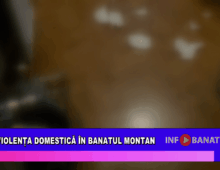 Violența domestică în Banatul Montan