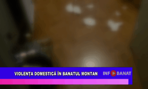 Violența domestică în Banatul Montan