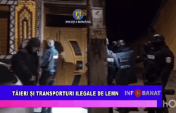 Tăieri și transporturi ilegale de lemn