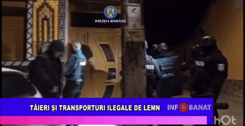 Tăieri și transporturi ilegale de lemn