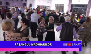 Fășangul maghiarilor