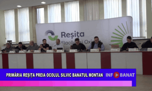 Primăria Reșița preia Ocolul Silvic Banatul Montan