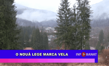 O nouă lege marca Vela