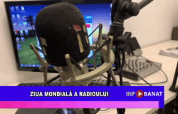 Ziua Mondială a Radioului